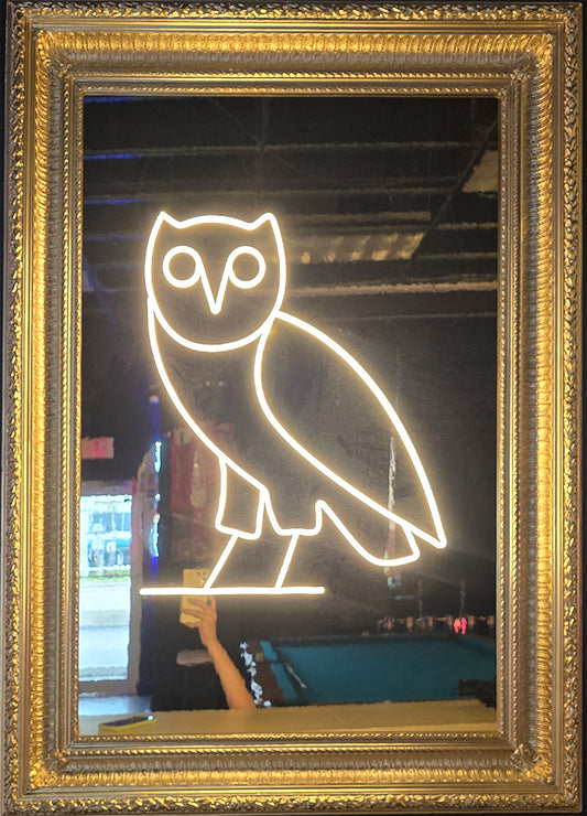 Neon Owl Mirror 34" x 46.1"