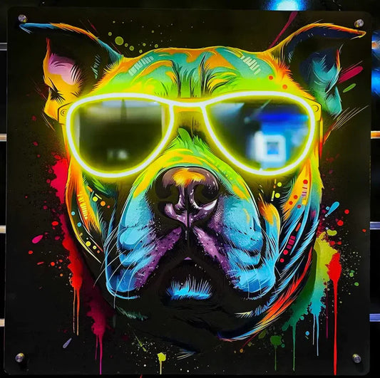 Neon Graffiti Pitbull LED