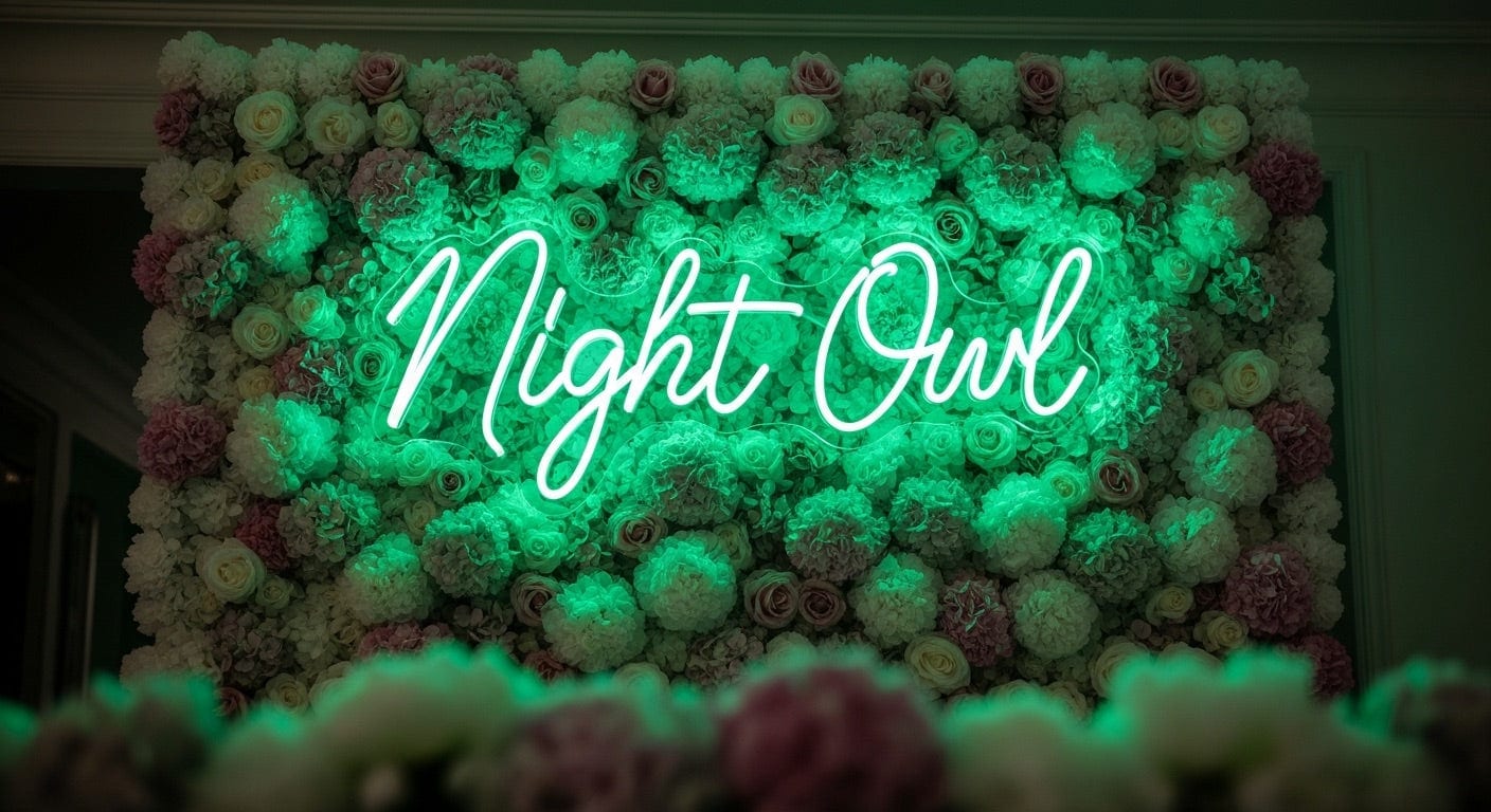 Night Owl Neon Sign